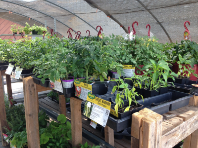 Farmers Friend Feed, Seed & Supply, LLC Image