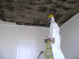 Construction Connection & Inspections Image