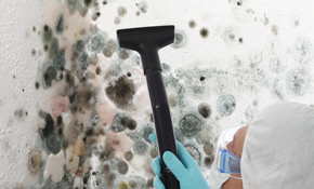 Construction Connection & Inspections Image