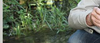 Boggs Environmental Consultants, Inc Logo