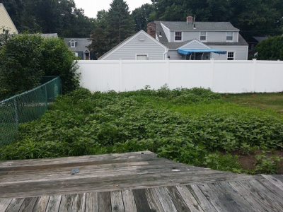 Total Exterior Services Image