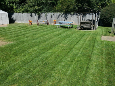 Total Exterior Services Image