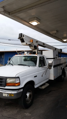 Confident Electric Image