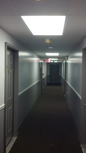 Confident Electric Image