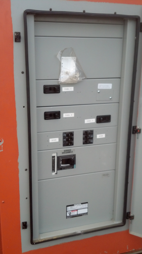 Confident Electric Image