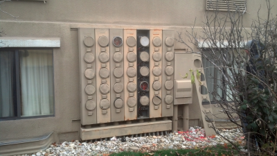 Confident Electric Image