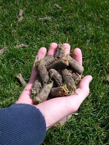 Yardworx Lawn and Landscape Image