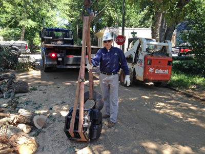 72 Tree, Seed & Land Co. Image