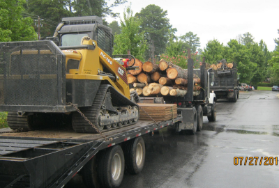72 Tree, Seed &amp; Land Co. Logo