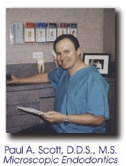 Associated Endodontists of Melbourne Logo