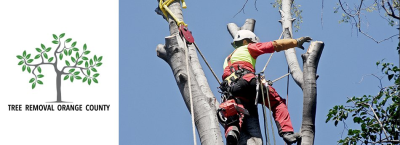 Tree Removal Orange County Logo
