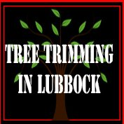 Tree Trimming in Lubbock Image