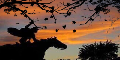 Tree Trimming in Lubbock Logo