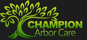 Champion Arbor Care Image