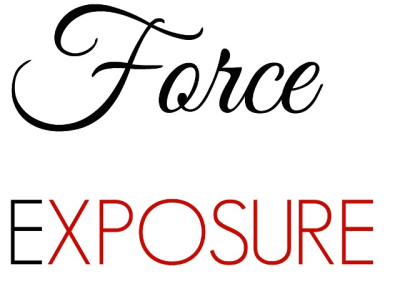 Phoenix SEO | ForceExposure Logo