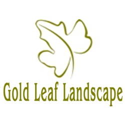 Gold Leaf Landscape Logo