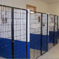 Dominoe Pet Resort Image