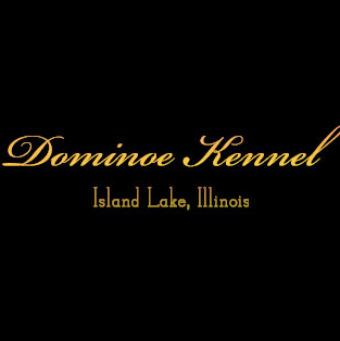 Dominoe Pet Resort Logo
