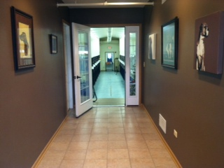 Dominoe Pet Resort Image