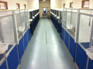 Dominoe Pet Resort Image