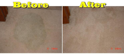 Advanced Carpet & Upholstery Cleaning Image