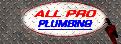 All Pro Plumbing and Leak Detection Logo
