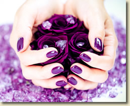 The Nail Shop & Spa Image