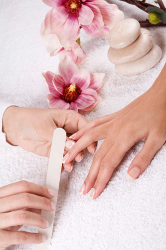 The Nail Shop & Spa Image