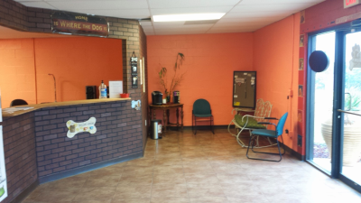 South Paws Grooming Image