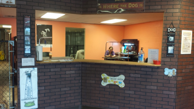 South Paws Grooming Image