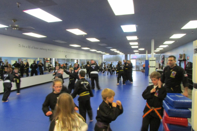 Shepherd-Warrior Martial Arts Image