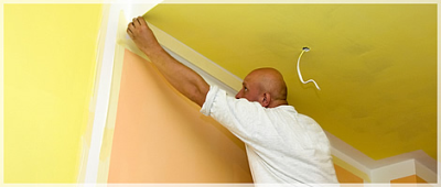 Halcyon Painting Image