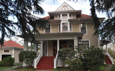 Halcyon Painting Image