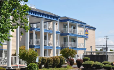 Halcyon Painting Logo