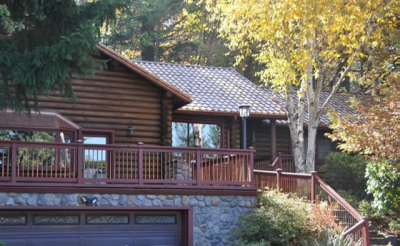 Halcyon Painting Image