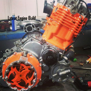 Looney Tooners Performance Image