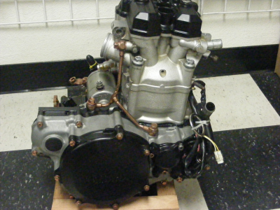 Looney Tooners Performance Image