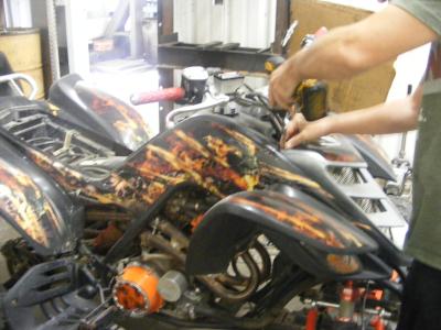 Looney Tooners Performance Image