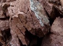 Trombley Logging LLC Image