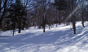 Trombley Logging LLC Image