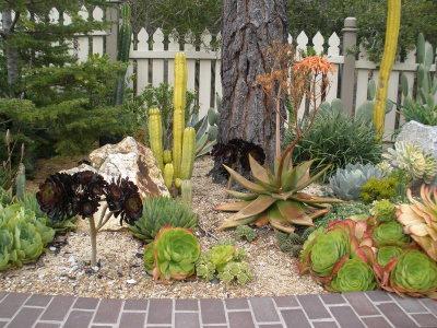 Escobedo's Gardening & Landscaping Image
