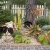 Escobedo's Gardening & Landscaping Image