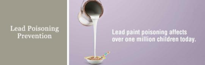 Lead Testing Consultants Image