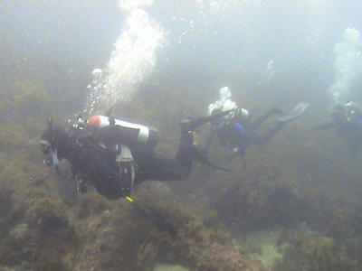 Extreme Adventures Image