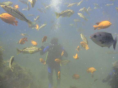 Extreme Adventures Image