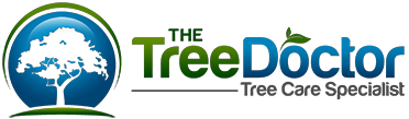 The Tree Doctor Logo