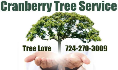 Cranberry Tree Care Service Logo