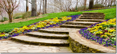 Medranos Landscaping Image