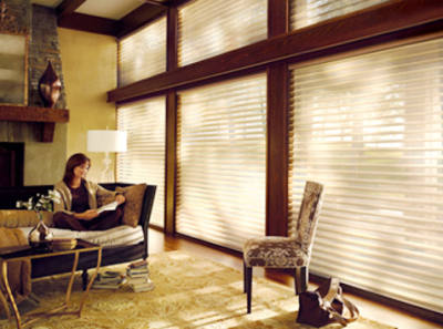 Resolute Retractable Screens Image