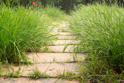 Terravance Improvements, LLC Image